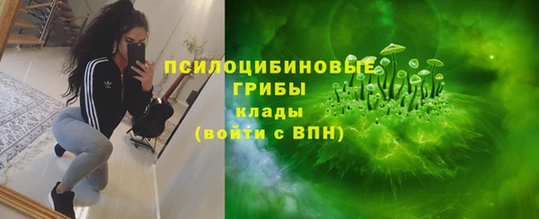 гашик Елизово