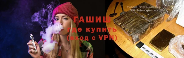 индика Каменногорск