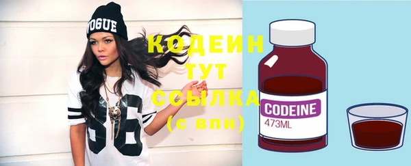 гашик Елизово