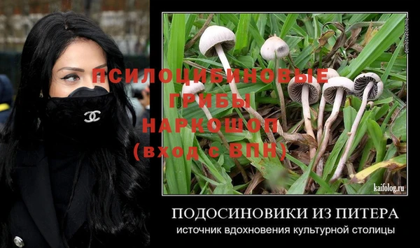 круглые Ельня
