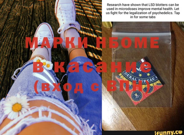 дмт Каменка