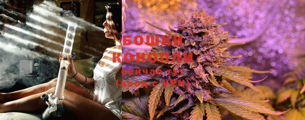 гашик Елизово