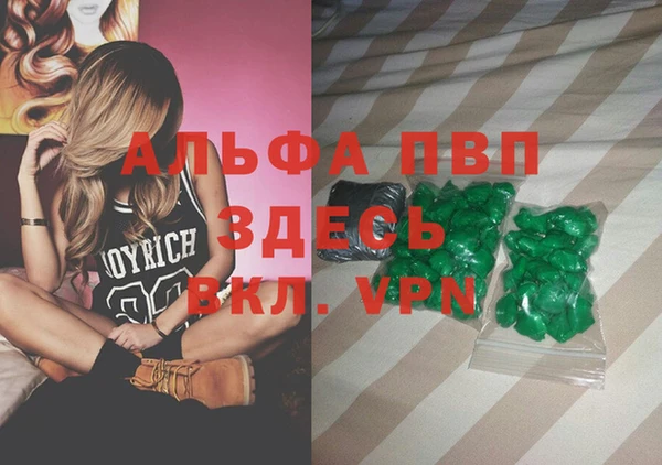 гашик Елизово