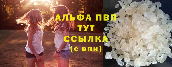 гашик Елизово